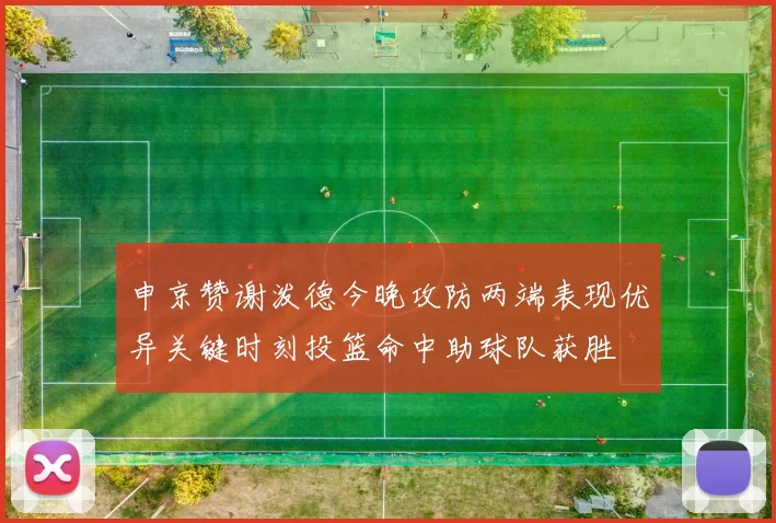 申京赞谢泼德今晚攻防两端表现优异关键时刻投篮命中助球队获胜