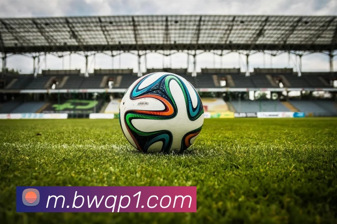 宝威棋牌服务体系